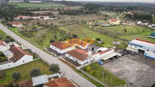 Santarém, Distrito de Santarémの高級住宅