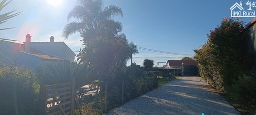Maison de luxe à Salvaterra de Magos, Distrito de Santarém
