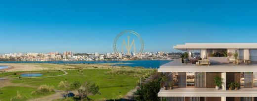 ﺷﻘﺔ ﻓﻲ فيلا نوا دغايا
, Vila Nova de Gaia