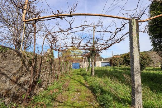 Rural or Farmhouse in Vila do Conde, Distrito do Porto