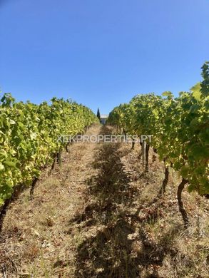 Demeure ou Maison de Campagne à Alijó, Distrito de Vila Real