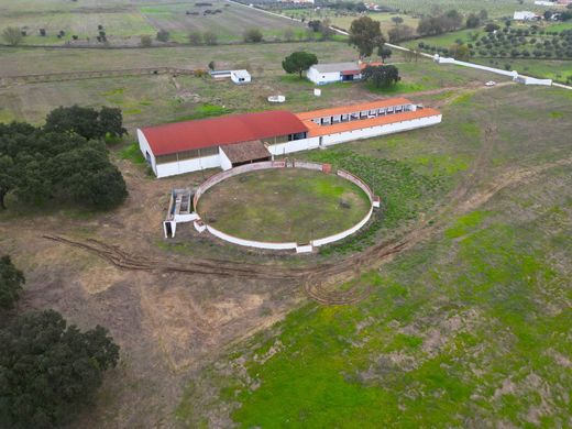 Rural ou fazenda - Viana do Alentejo, Évora