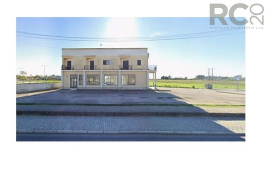 콘도미니엄 / Salvaterra de Magos, Distrito de Santarém