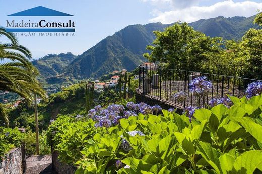 Machico, Região Autónoma da Madeiraのカントリー風またはファームハウス