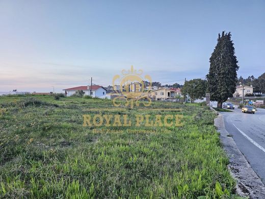 Terreno - Santa Maria da Feira, Aveiro