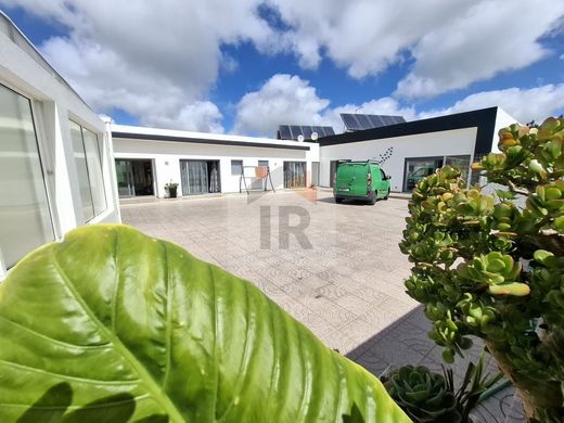 Luxury home in Caldas da Rainha, Distrito de Leiria