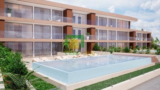 Apartamento - Câmara de Lobos, Madeira