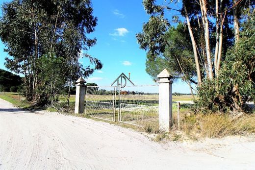 Αγροτεμάχιο σε Palmela, Distrito de Setúbal