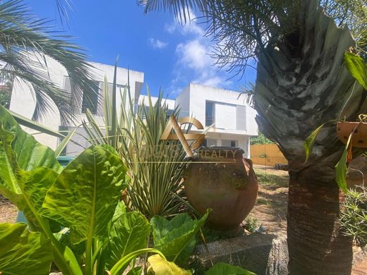 호화 저택 / Funchal, Madeira