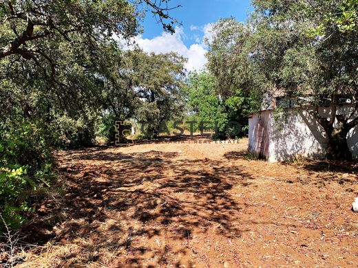 Lüks ev Faro, Distrito de Faro