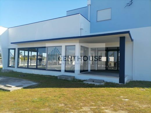 Lüks ev Cantanhede, Distrito de Coimbra