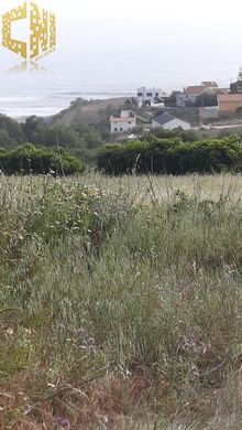Land in Mafra, Lisbon