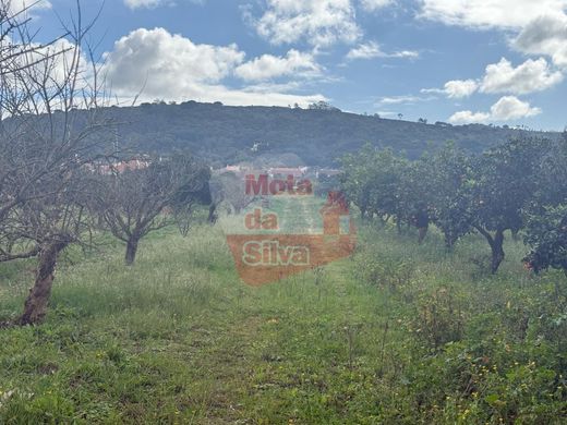 Land in Palmela, Distrito de Setúbal