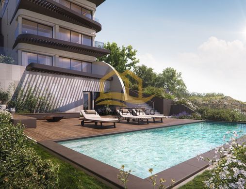 Daire Funchal, Madeira