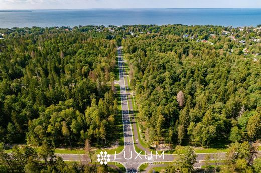 토지 / Pringi, Viimsi vald