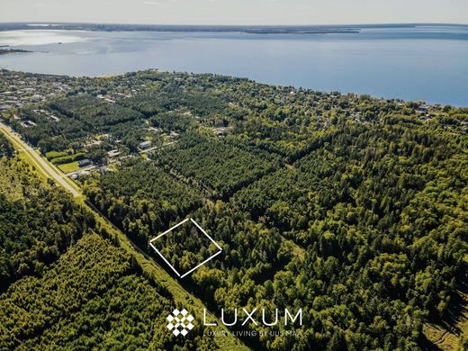 토지 / Pringi, Viimsi vald