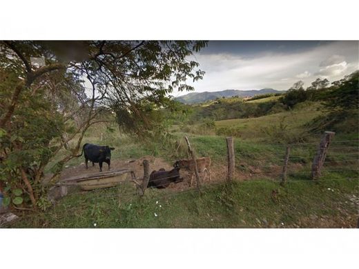 Arsa La Estrella, Departamento de Antioquia