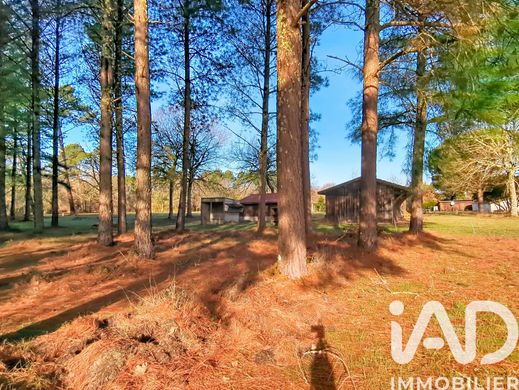 Villa Biscarrosse, Landes