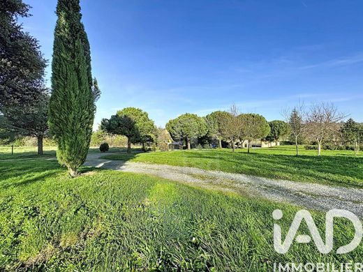 Balma, Upper Garonneのヴィラ