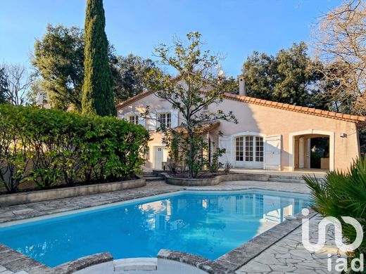 Saint-Gély-du-Fesc, Héraultのヴィラ