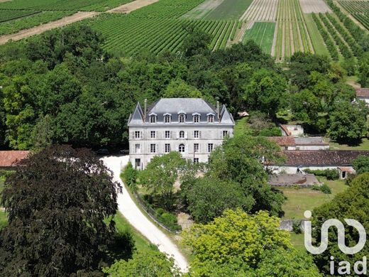 Castle in Segonzac, Charente