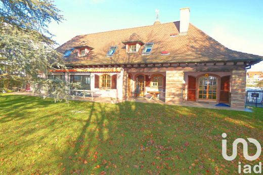 Villa in Village-Neuf, Haut-Rhin