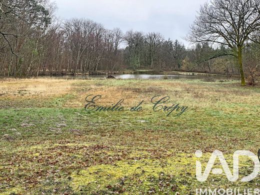 Villa - Lamotte-Beuvron, Loir-et-Cher