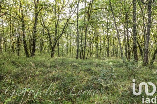 Terrain à Puy-l'Évêque, Lot