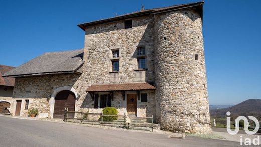 Kasteel in Choisy, Haute-Savoie