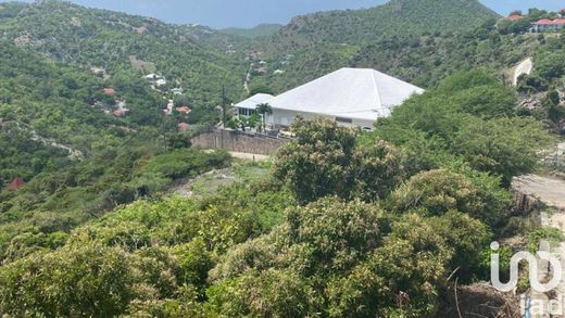 Land in Gustavia