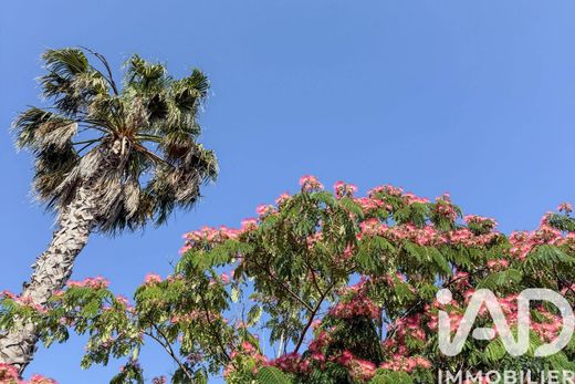 ﻓﻴﻼ ﻓﻲ طولون, Var