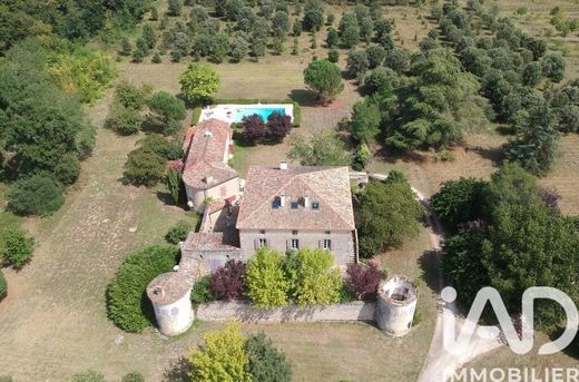 Castle in Fargues-sur-Ourbise, Lot-et-Garonne