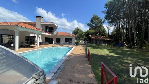 Parentis-en-Born, Landesのヴィラ