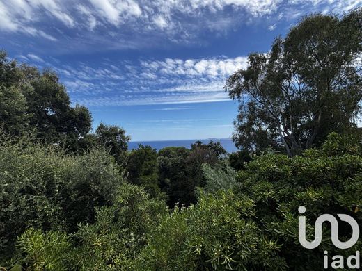 빌라 / Rayol-Canadel-sur-Mer, Var