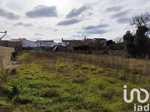 Terreno - Sainte-Marie-de-Ré, Charente-Maritime