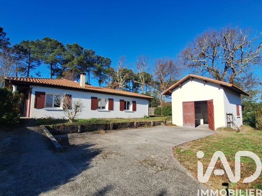 Willa w La Teste-de-Buch, Gironde