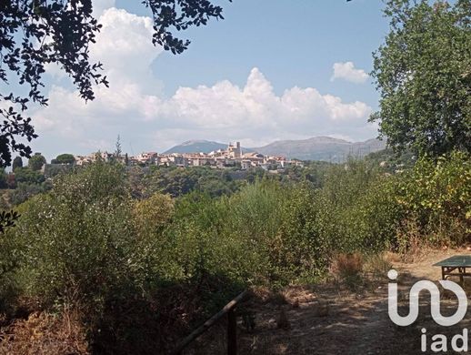 빌라 / Saint-Paul-de-Vence, Alpes-Maritimes