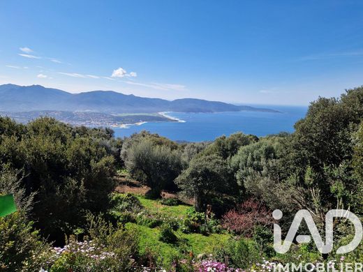 Villa in Olmeto, South Corsica