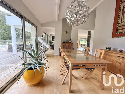 Villa Loupes, Gironde