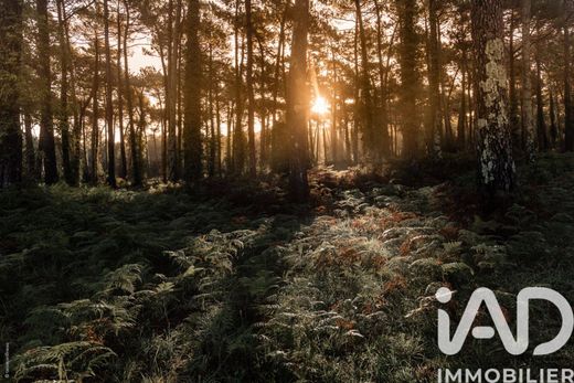 Anglet, Pyrénées-Atlantiquesのヴィラ