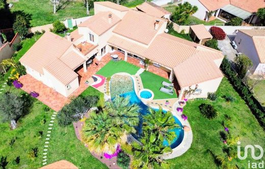 Βίλα σε Saint-Cyprien, Pyrénées-Orientales