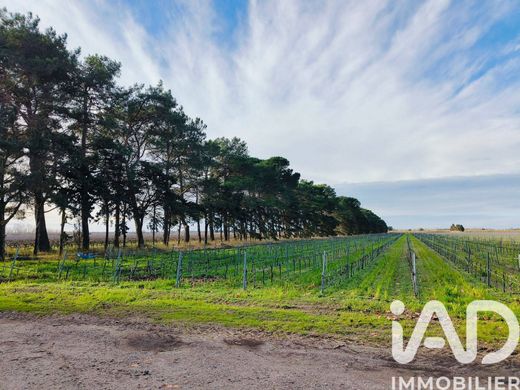 Land in Le Grau-du-Roi, Gard