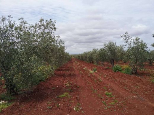 ‏קרקע ב  Badajoz, Provincia de Badajoz