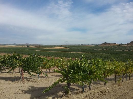 Arsa Bienvenida, Provincia de Badajoz