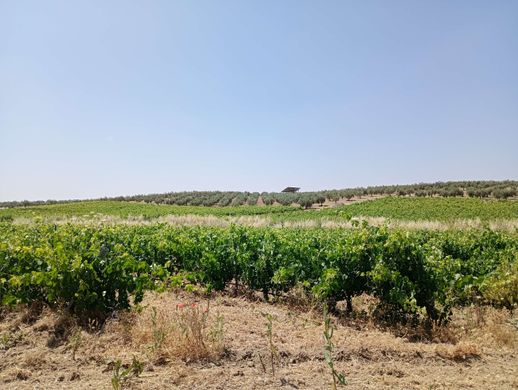 Land in Bienvenida, Badajoz