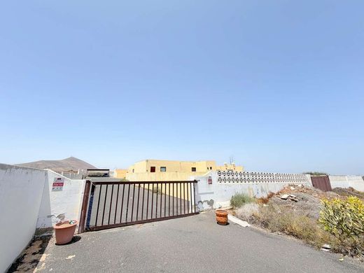 Maison de luxe à Güime, Province de Las Palmas