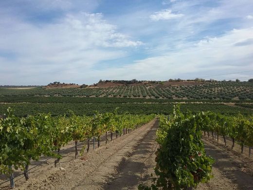 토지 / Badajoz, Provincia de Badajoz
