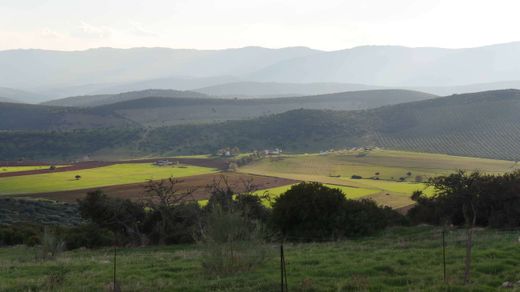 Land in La Calzada de Calatrava, Ciudad Real