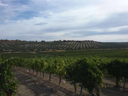 地皮  Badajoz, Provincia de Badajoz