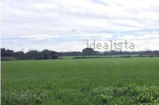 Land in Badajoz, Extremadura